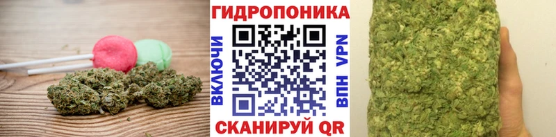 Canna-Cookies марихуана купить дарк нет Telegram Омутнинск