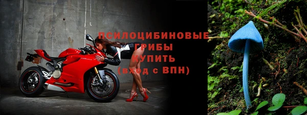 амф Вязьма