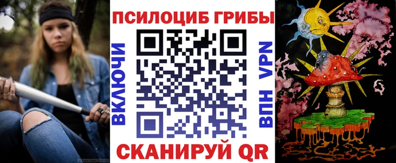 гидра ссылка Омутнинск Псилоцибиновые грибы Psilocybine cubensis купить наркотики цена